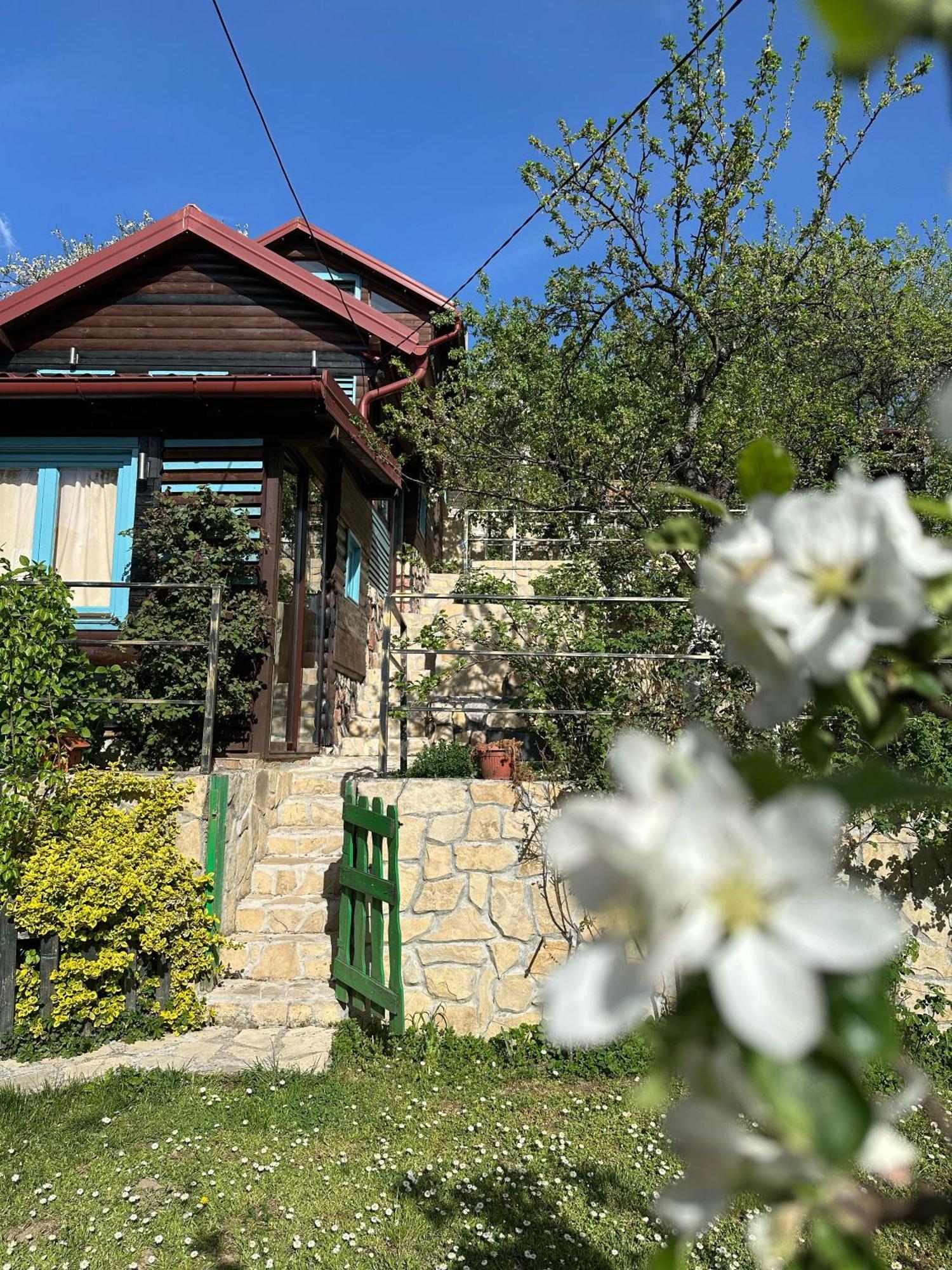 The Bungalows Sarajevo Exterior photo